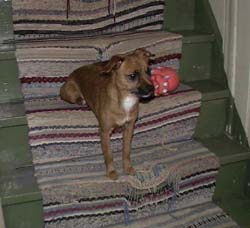 Albin-200501.jpg