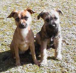 Sot-&-Albin-20050330.jpg