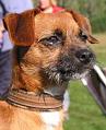 Albin-0408
