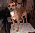 Albin-20041217
