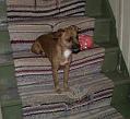 Albin-200501