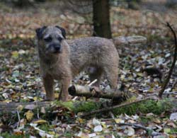 200510-Ben.jpg
