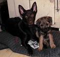 Sot-&-Rocco-200502