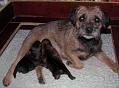 Valparna-20041121