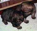 Valparna-20041207