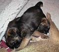 Valparna-20041224-2