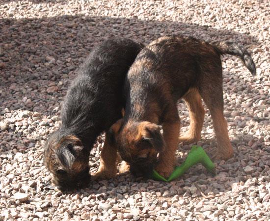 20090417-Erik-&-Gefjyn.jpg