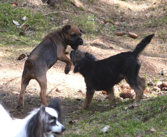 20090430-Ta-mig-om-du-kan.jpg