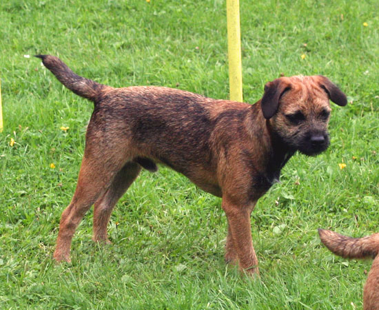 20090805-Fille.jpg