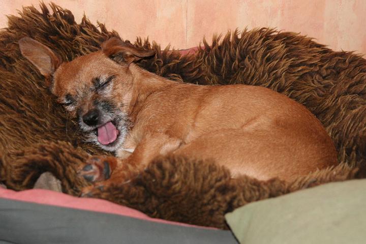 20091218-Albin.jpg