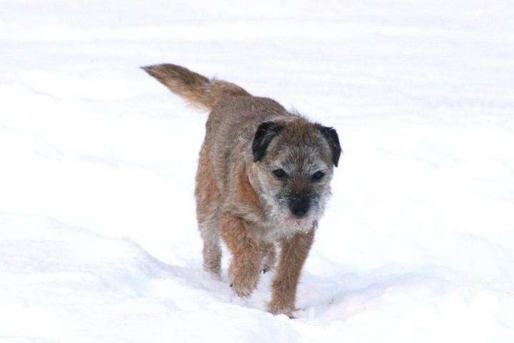 20091218-Ben.jpg