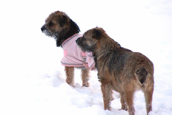 20091218-Gefjyn-&-Sot.jpg