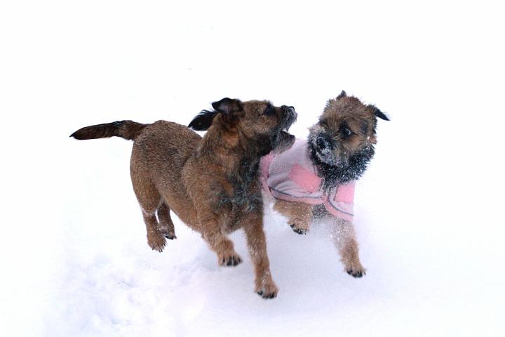 20091218-Snöbus-1.jpg