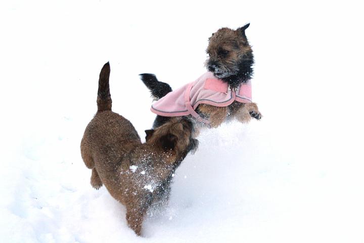 20091218-Snöbus-2.jpg