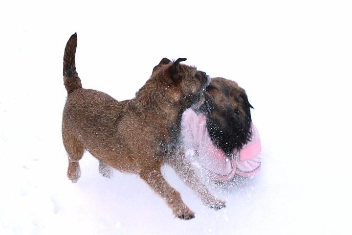 20091218-Snöbus-3.jpg