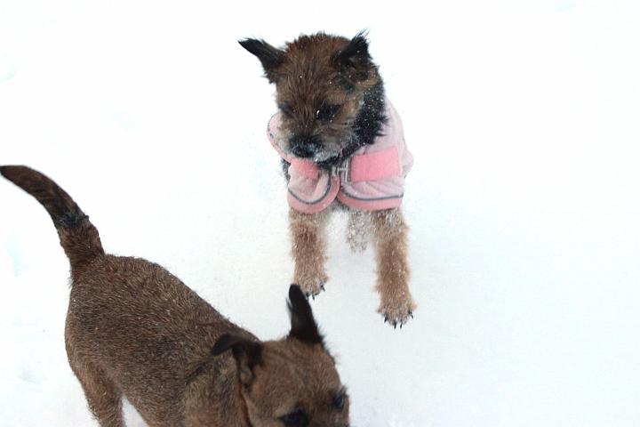 20091218-Snöbus-4.jpg