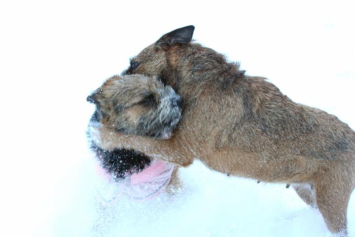 20091218-Snöbus-5.jpg