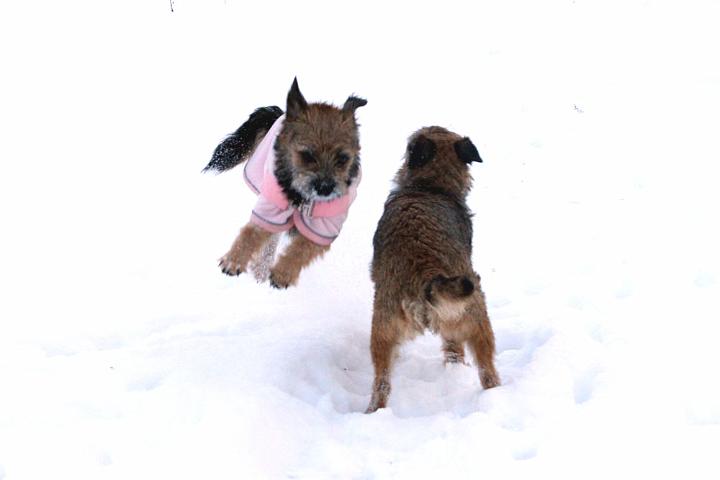 20091218-Snöbus-6.jpg