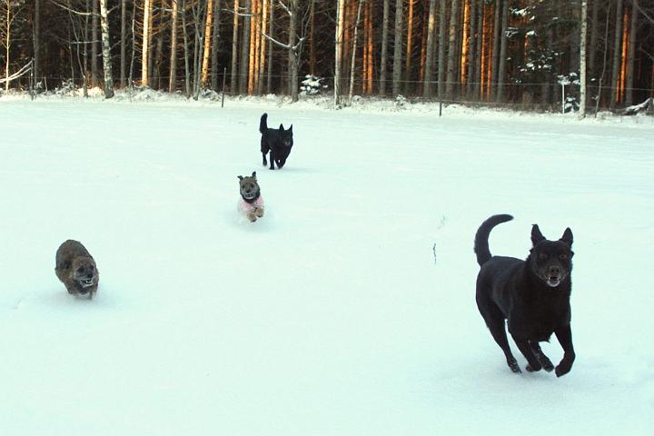 20091218-Snöbus-7.jpg