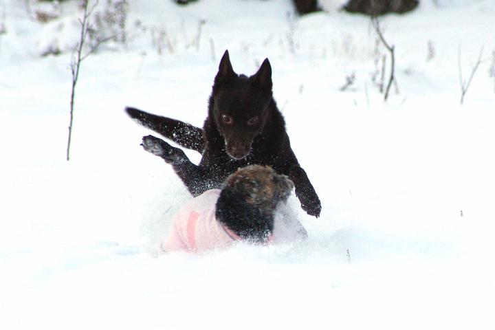 20091218-Snöbus-9.jpg