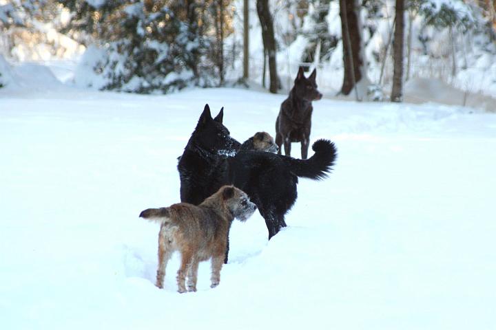 20091230-På-spaning.jpg