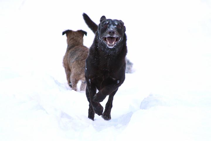 20091230-Rocco.jpg