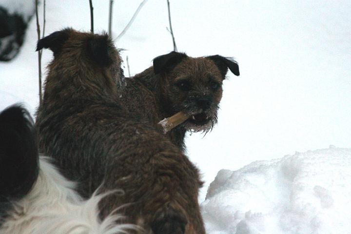 20091230-Tea.jpg