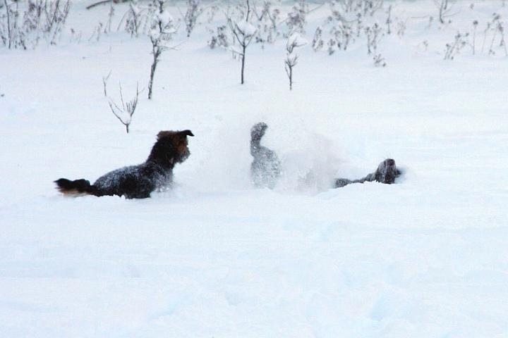 20091230-vad-gör-du-1.jpg