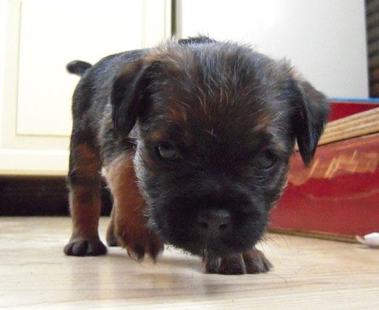 20090220-1-Freja.jpg