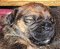 20090221-Rooibus-2