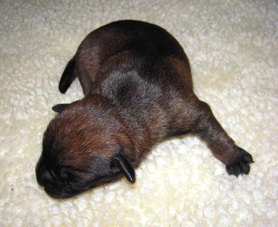 20090120-3-tik.jpg