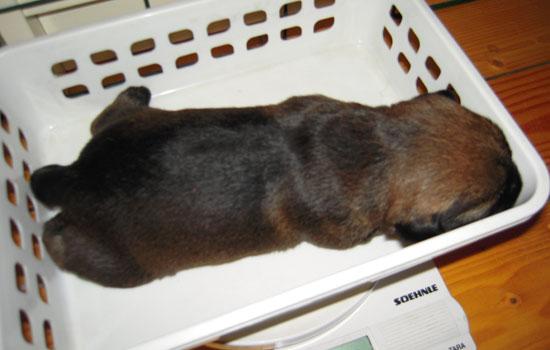 20090130-3-tik.jpg