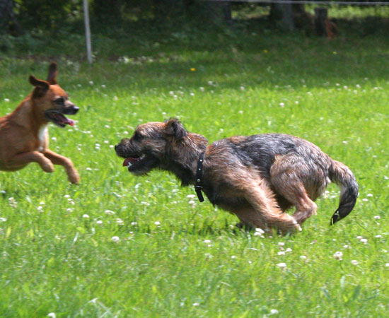 20090617-Freja-&-Albin.jpg
