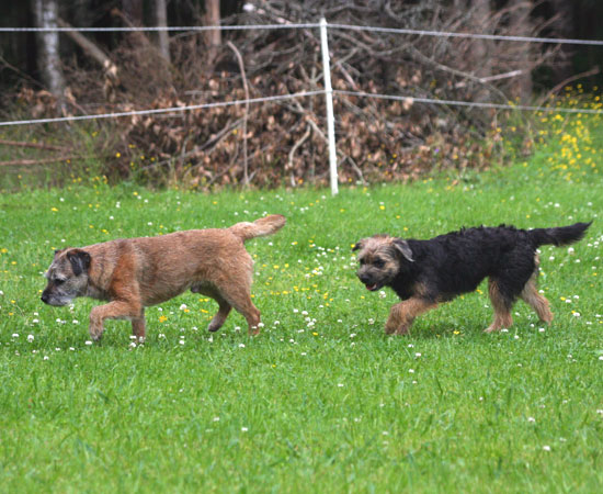 20090708-Ben-&-Gefjyn.jpg