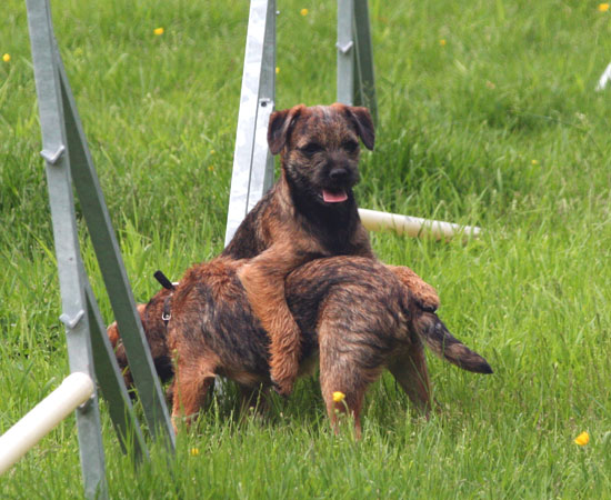 20090607-Armstöd.jpg