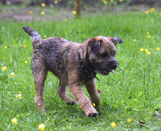 20090607-Freja.jpg