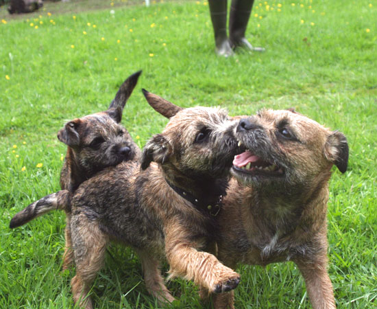 20090607-Tea-&-Freja.jpg