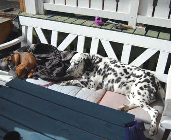 20090521-Filip-&-Mimmi.jpg