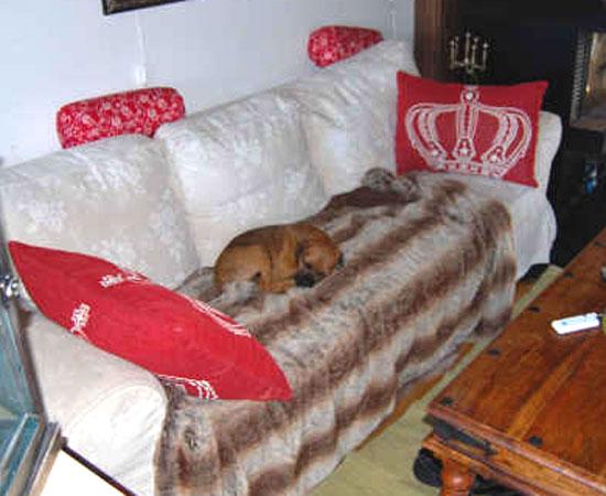 20090521-Kung-Filip.jpg
