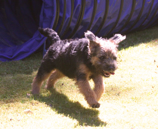 20090529-Gefjyn-axar.jpg