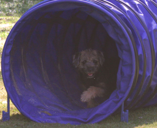 20090529-Gefjyn-i-tunneln.jpg