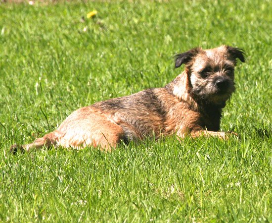 20090529-Sot.jpg