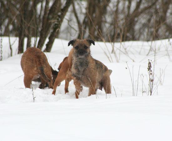 20090313-Sot.jpg