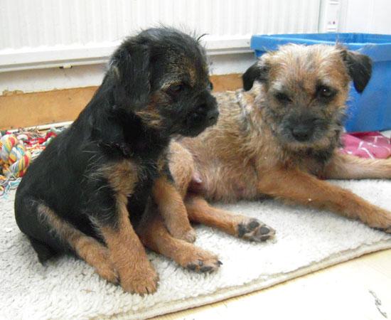 20090320-Gefjyn-&-mamma-Sot.jpg