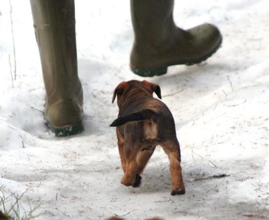 20090321-Husse-&-Rooibus.jpg