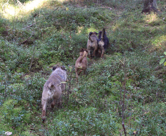 20091002-På-rad.jpg