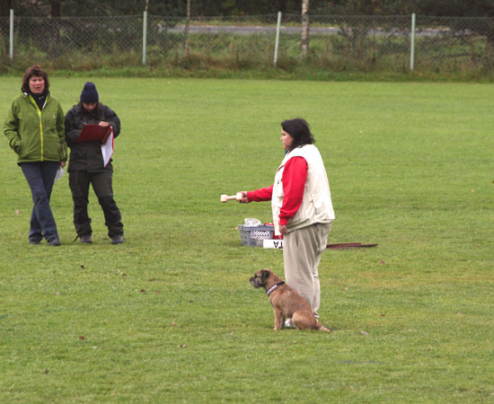 20091004-Sumo-apport-1.jpg