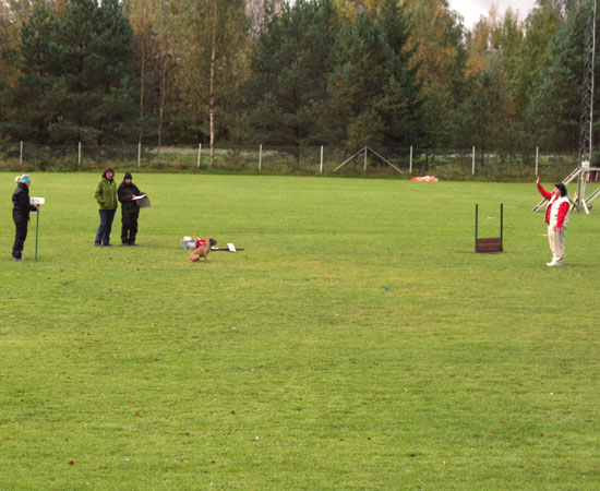 20091004-Sumo-fjärrdirigeri.jpg