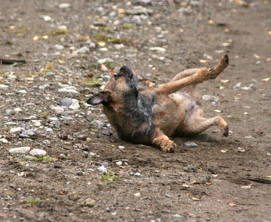20091023-Va-skööööönt-2.jpg