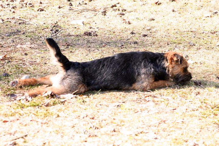 100403-Gefjyn-o-kotten.jpg